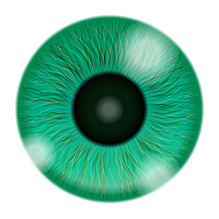 Eye